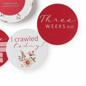 milestone-cards-ladybug-hibiscus-reversible-milestone-cards-4_1000x