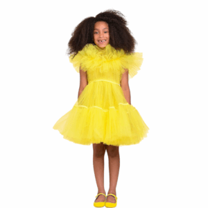 SHOSHANA DRESS