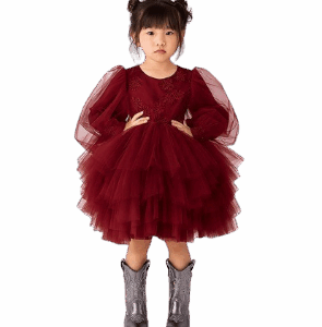 Maroon Dress